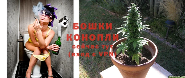 крисы Наволоки