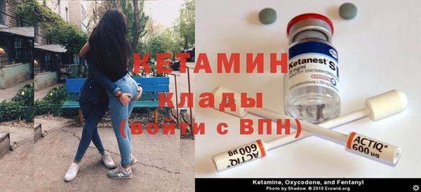 крисы Наволоки