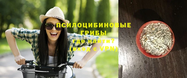 крисы Наволоки