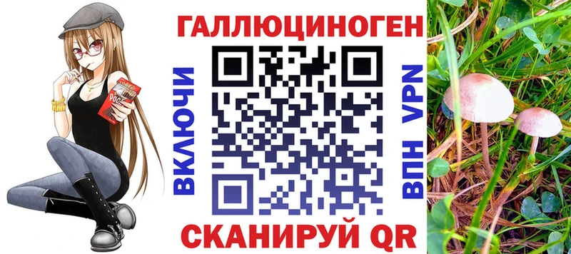 Купить где  Новомосковск  Галлюциногенные грибы Psilocybine cubensis 