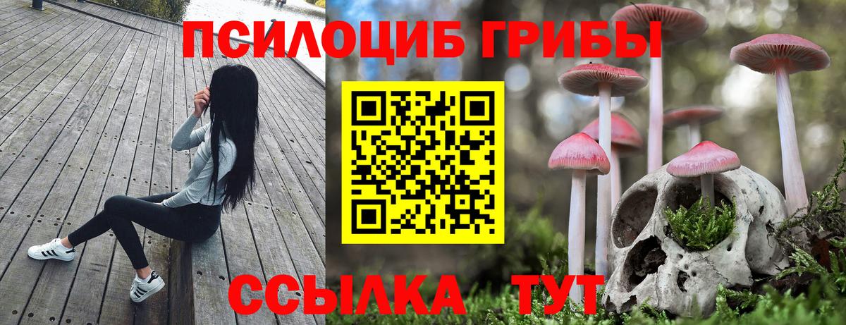 Галлюциногенные грибы Magic Shrooms  Новомосковск 
