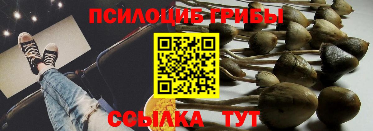 Псилоцибиновые грибы мухоморы  Вход с VPN  Новомосковск 